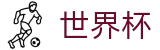 2026美加墨世界杯 · 门户一触即达和安全通道